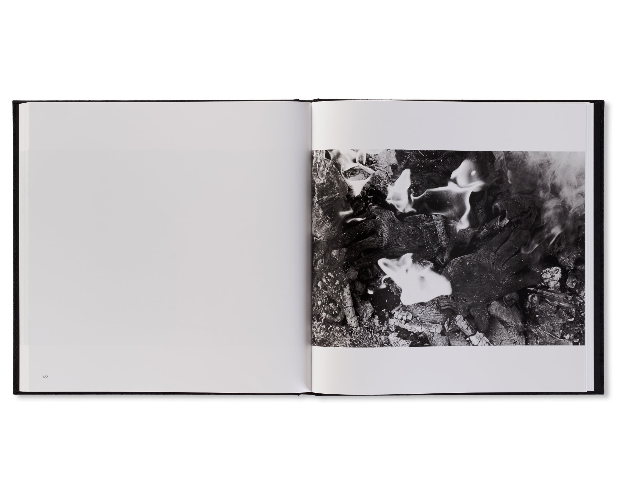 鴉 / RAVENS by Masahisa Fukase – twelvebooks