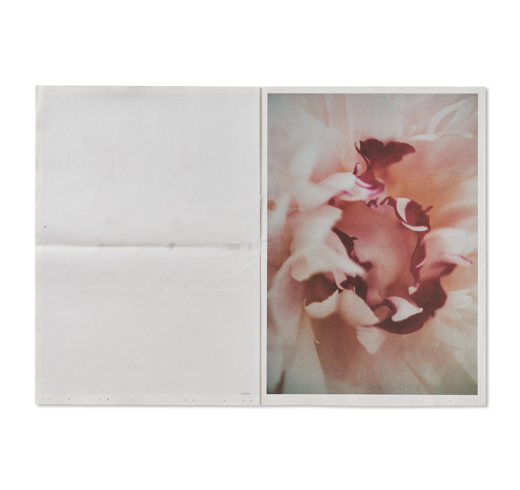 FLOWERS by Lina Scheynius – twelvebooks