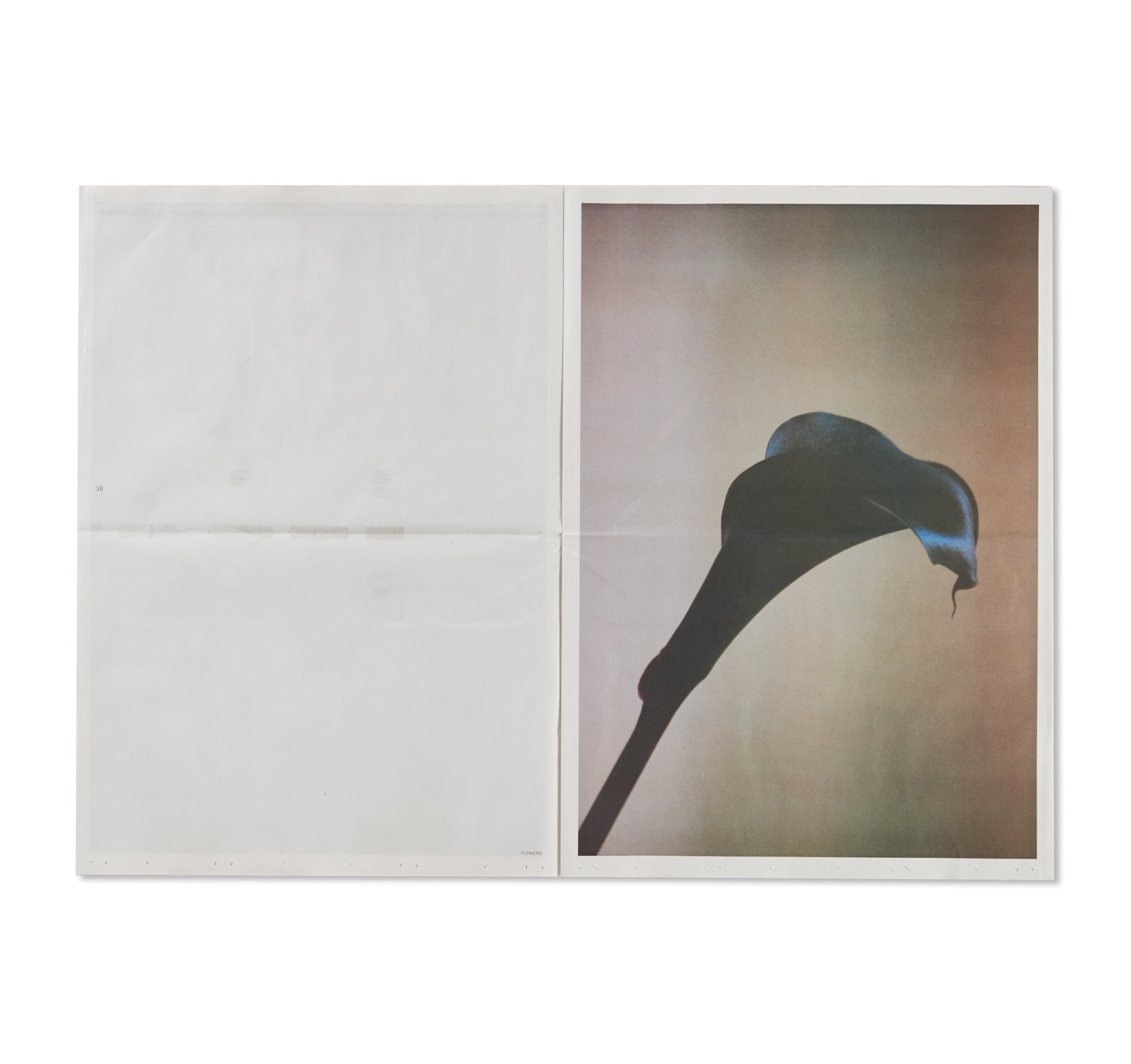 FLOWERS by Lina Scheynius – twelvebooks