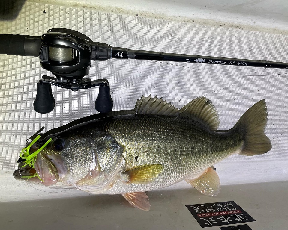 未使用品ツララ/モンストロ'G'711XHC ビックベイト/ジャイアント