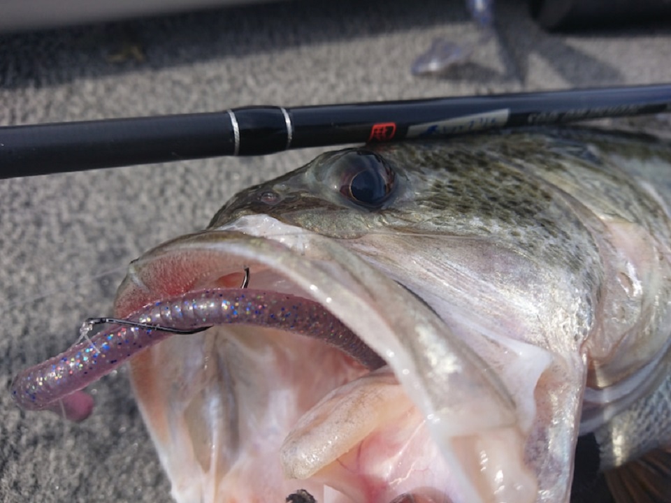 TULALA | Ford every stream | » 【公式】モンストロ “コンセプト