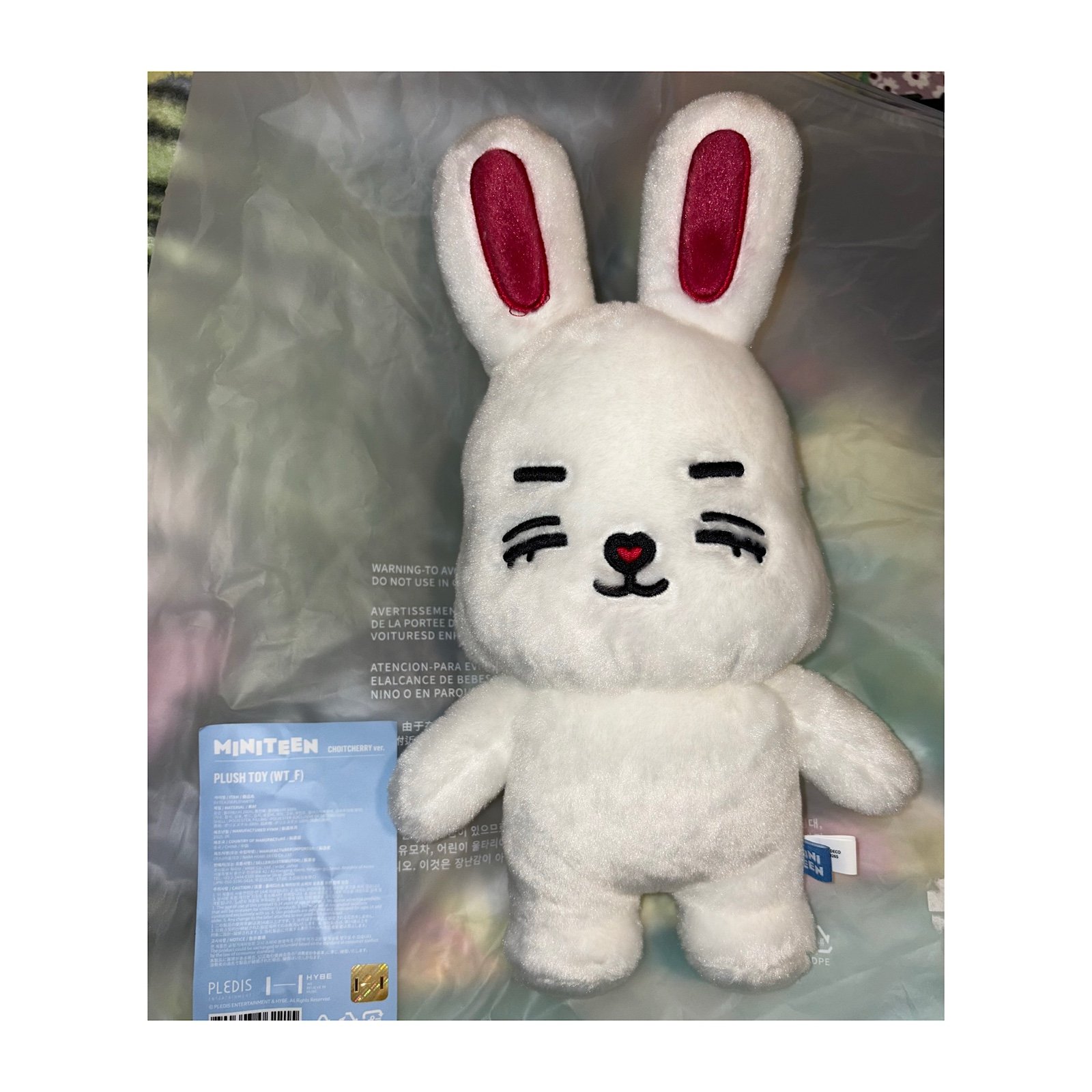 SEVENTEEN MINITEEN OFFICIAL MD Plush Toy - | Mercari
