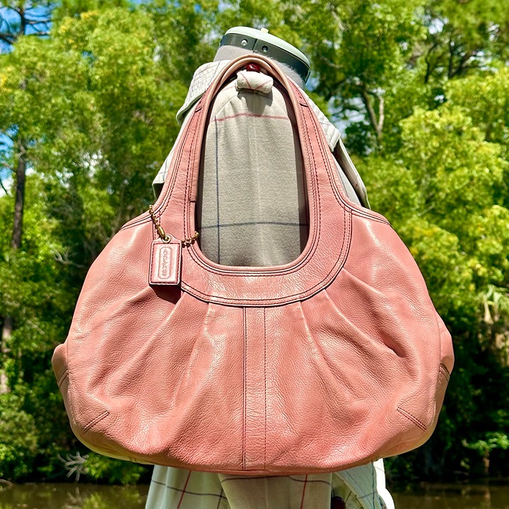 Coach Ergo Leather Pleated Frame Kisslock | Mercari