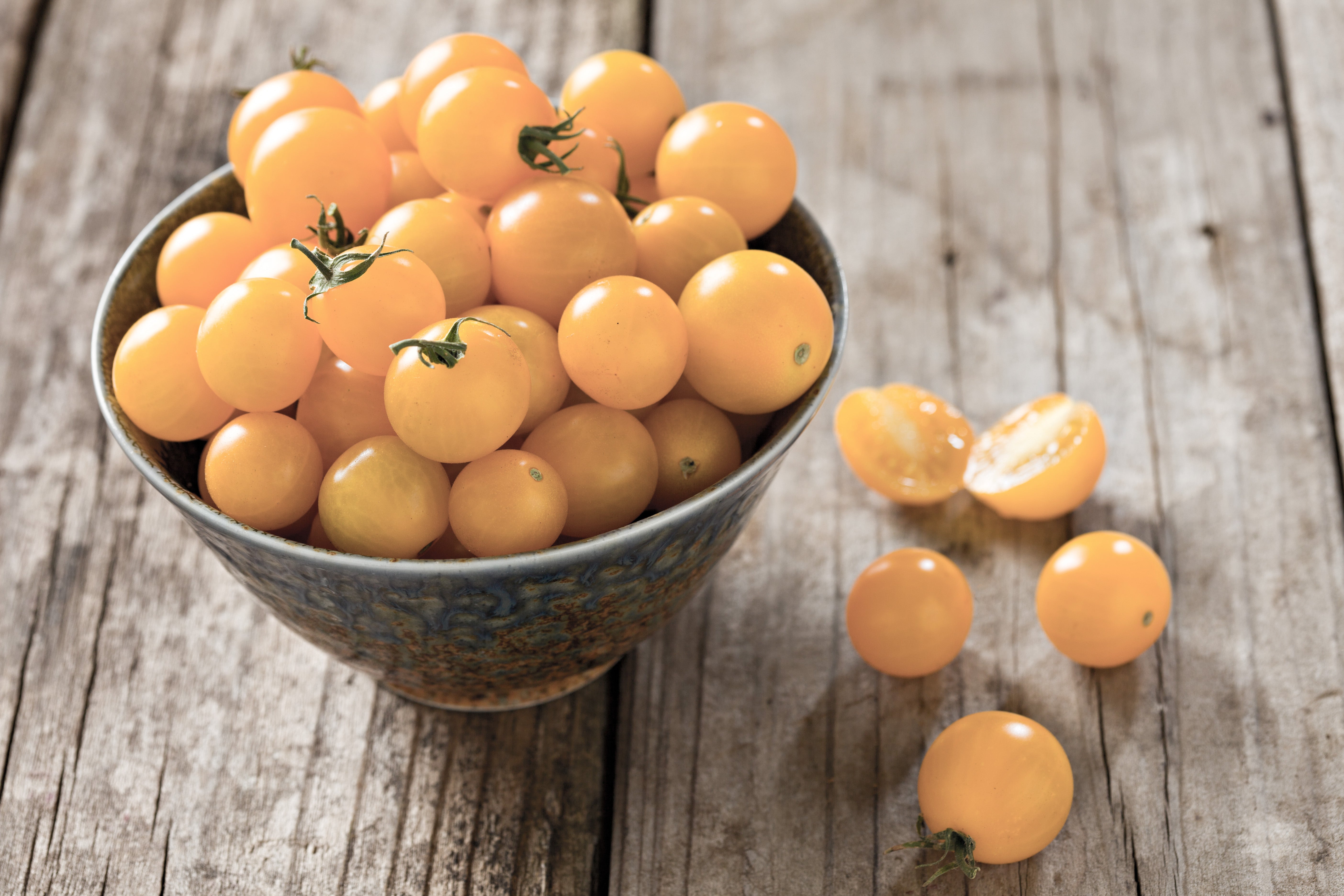 Mandurang Moon Dwaft Tomato – UJAMAA SEEDS