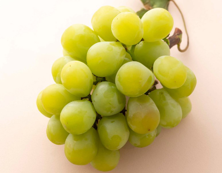 フルフルジブレー4種のぶどうゼリー│メゾンジブレー│人気のお