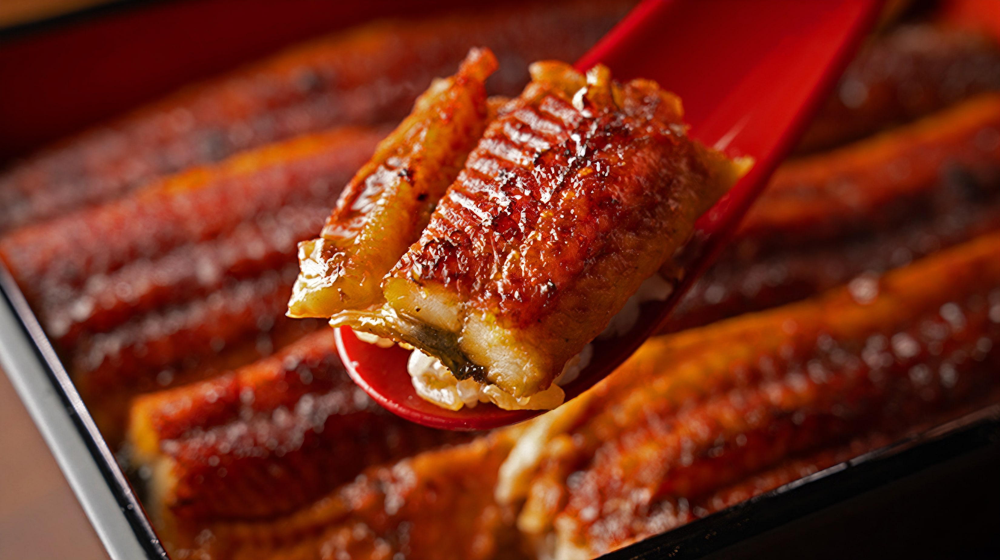 大阪 天神橋店 - うなぎ乃助