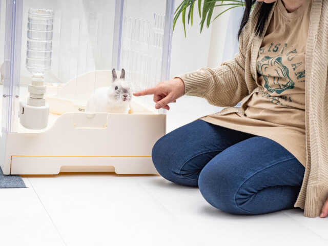 新スタイル「GEX ラビング クリアメゾン120」クローズアップ編｜USAKURA