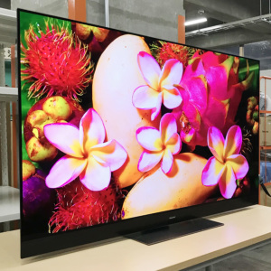 激安4K有機ELテレビ Panasonic VIERA TH-65GZ2000 ビエラ パナソニック