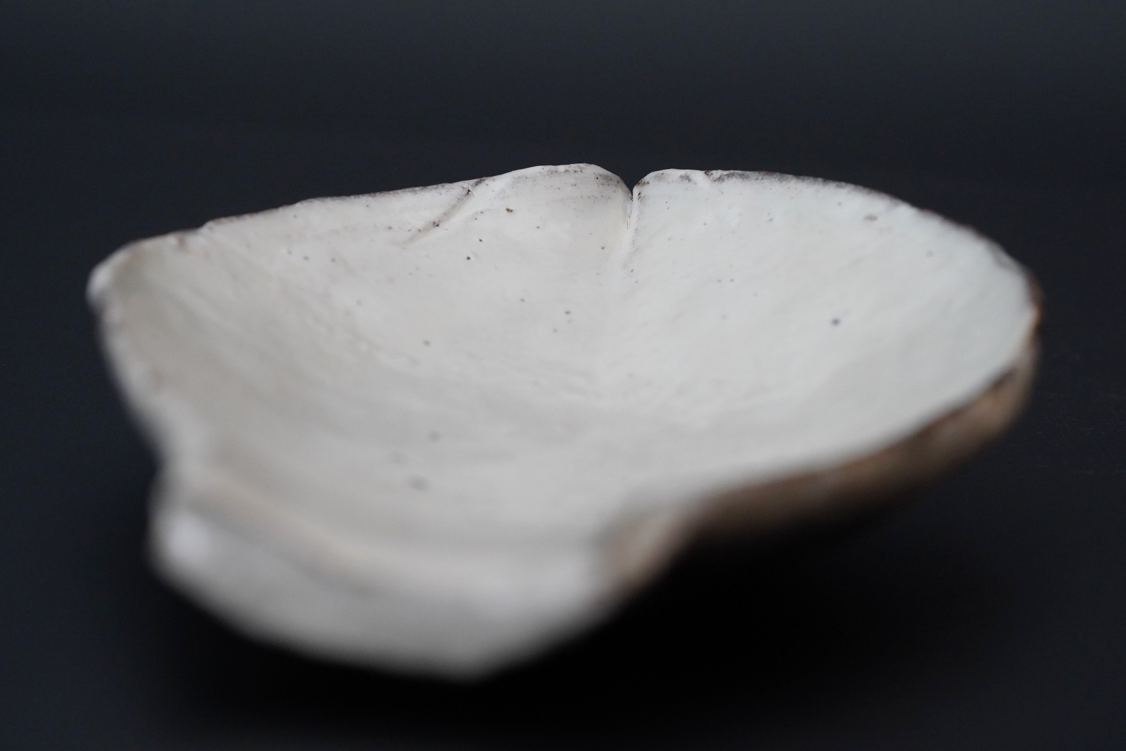 辻村 塊】粉引向付 蓮弁 – うつわ御結