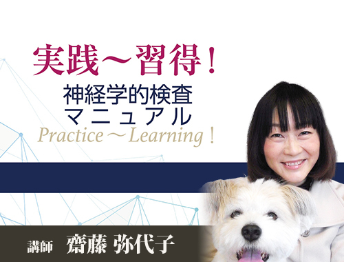 習得～実践！ 神経学的検査マニュアル|VetMovie 獣医師向け映像教材配信