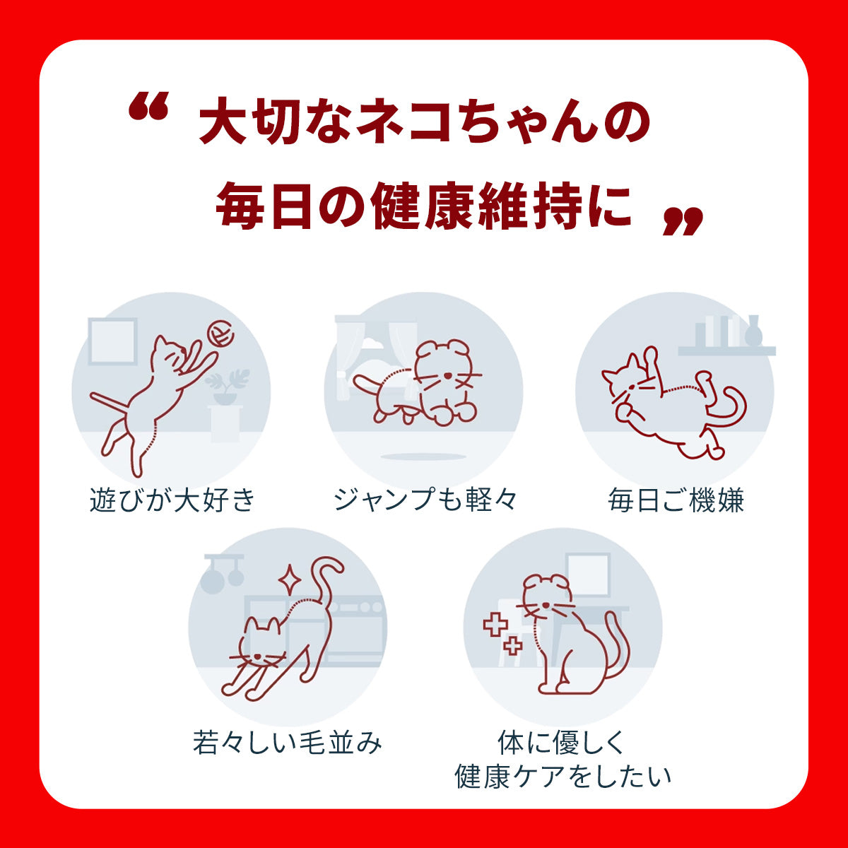猫のサプリメント【アンチノール プラス】– ベッツペッツ公式サイト