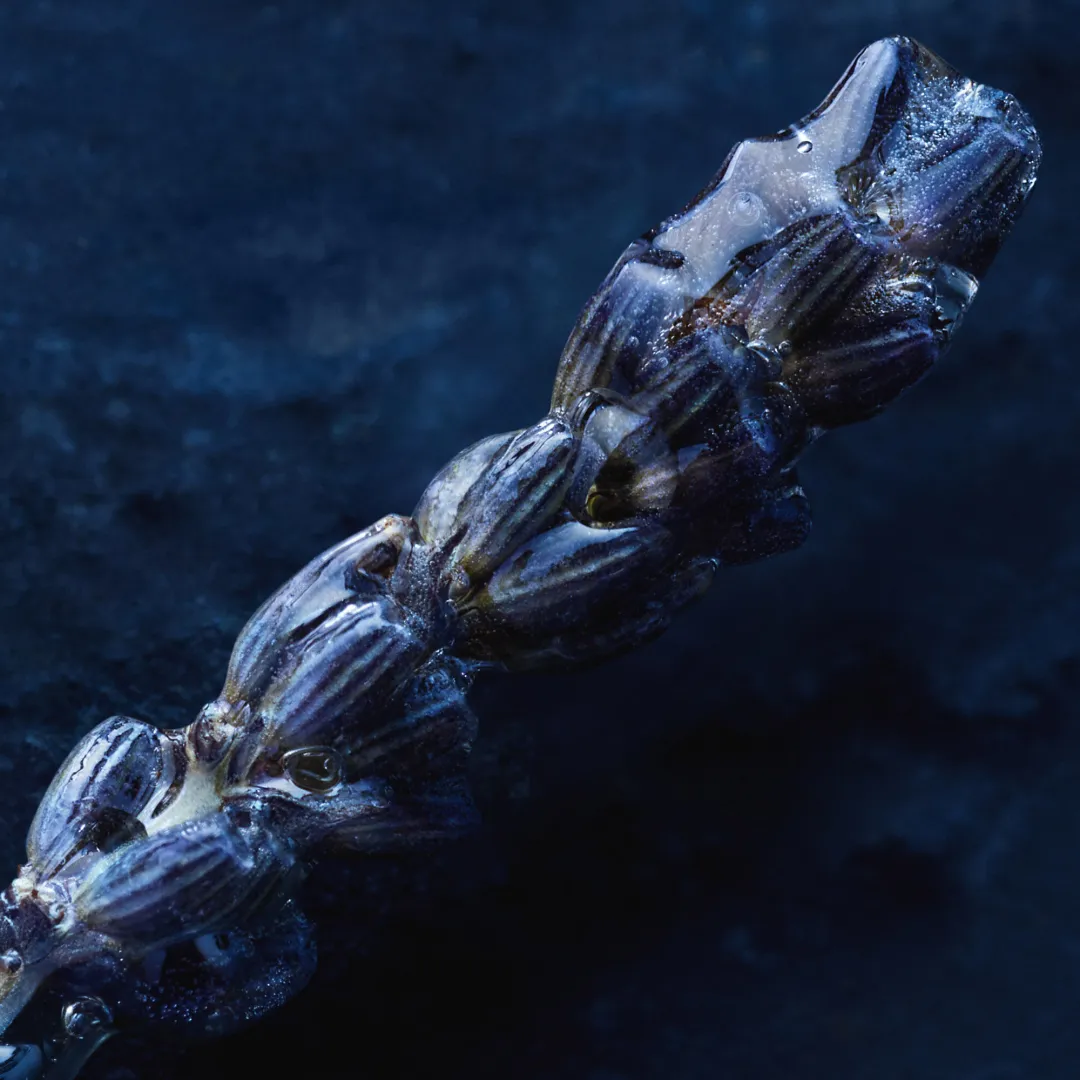 Dior Sauvage Eau Forte парфуми для чоловіків | Voenso