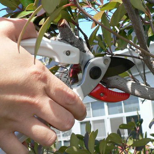 アルス ミニエース 133DX-W｜アルス《公式》園芸刃物ショップ