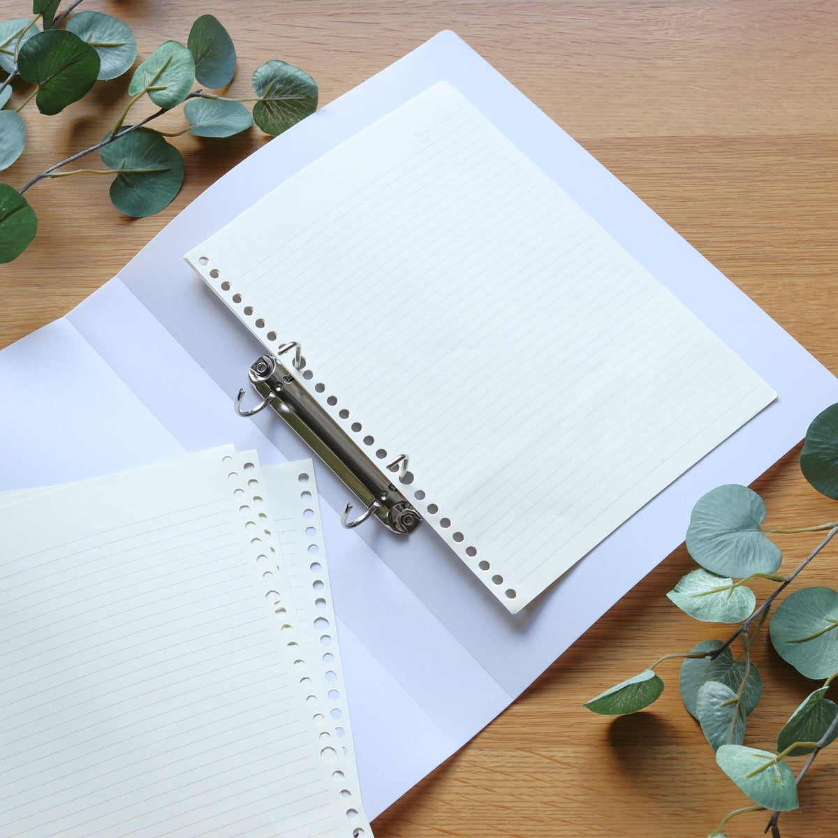 リング式ファイル D型リングファイル PB.A4 Dリングファイル 2穴