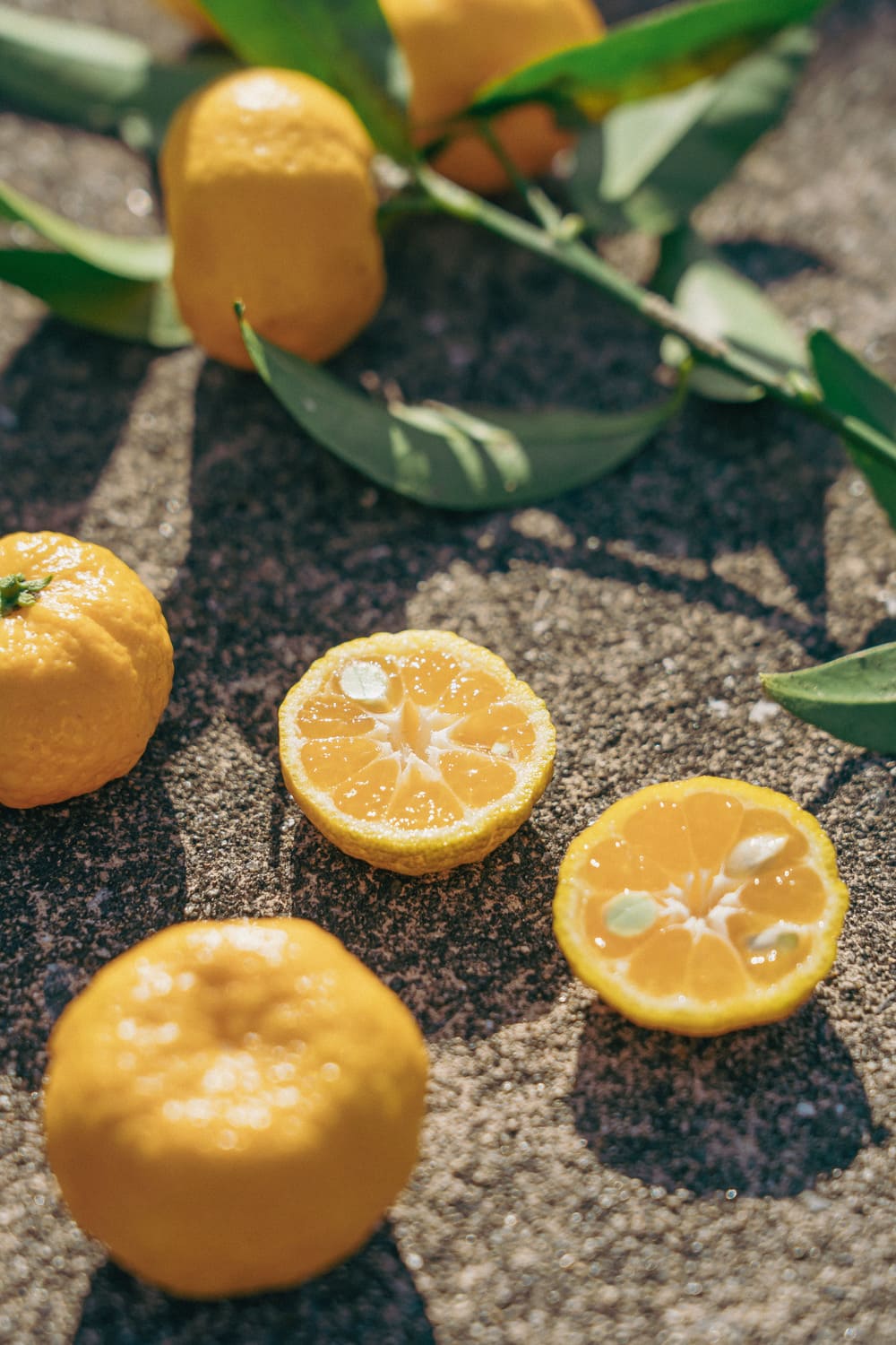 奈良に育つ、日本最古の柑橘・大和橘（やまとたちばな） ｜ WA・TO・BI