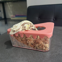 🍰販売商品のご紹介🍰 | Instagram | 神奈川県横浜の爬虫類ショップ