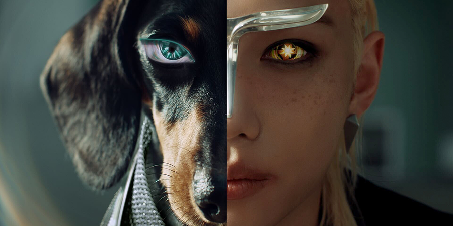 TAMBURINS Official Online Store