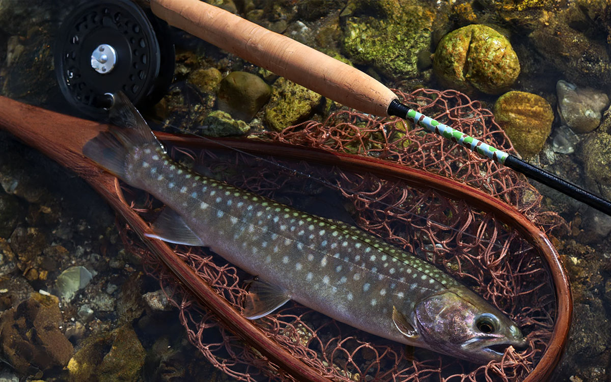 ステルスカモ」搭載のフライロッドが登場！ フォックスファイヤーの