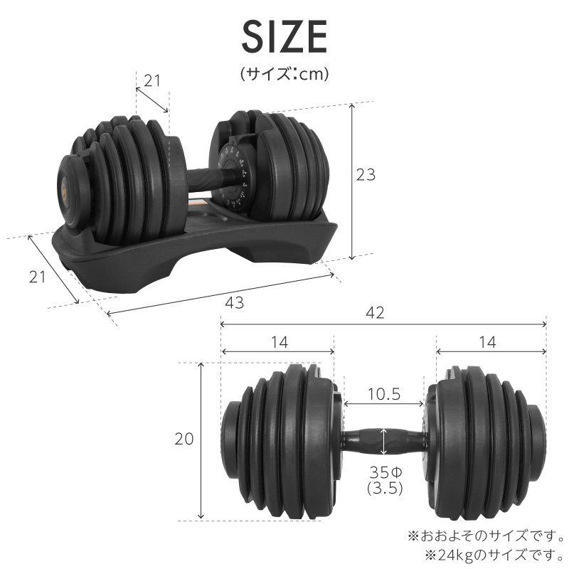 新発売】【1年保証】 ライシン パンプキング 片手式 24kg/40kg 1個/2個