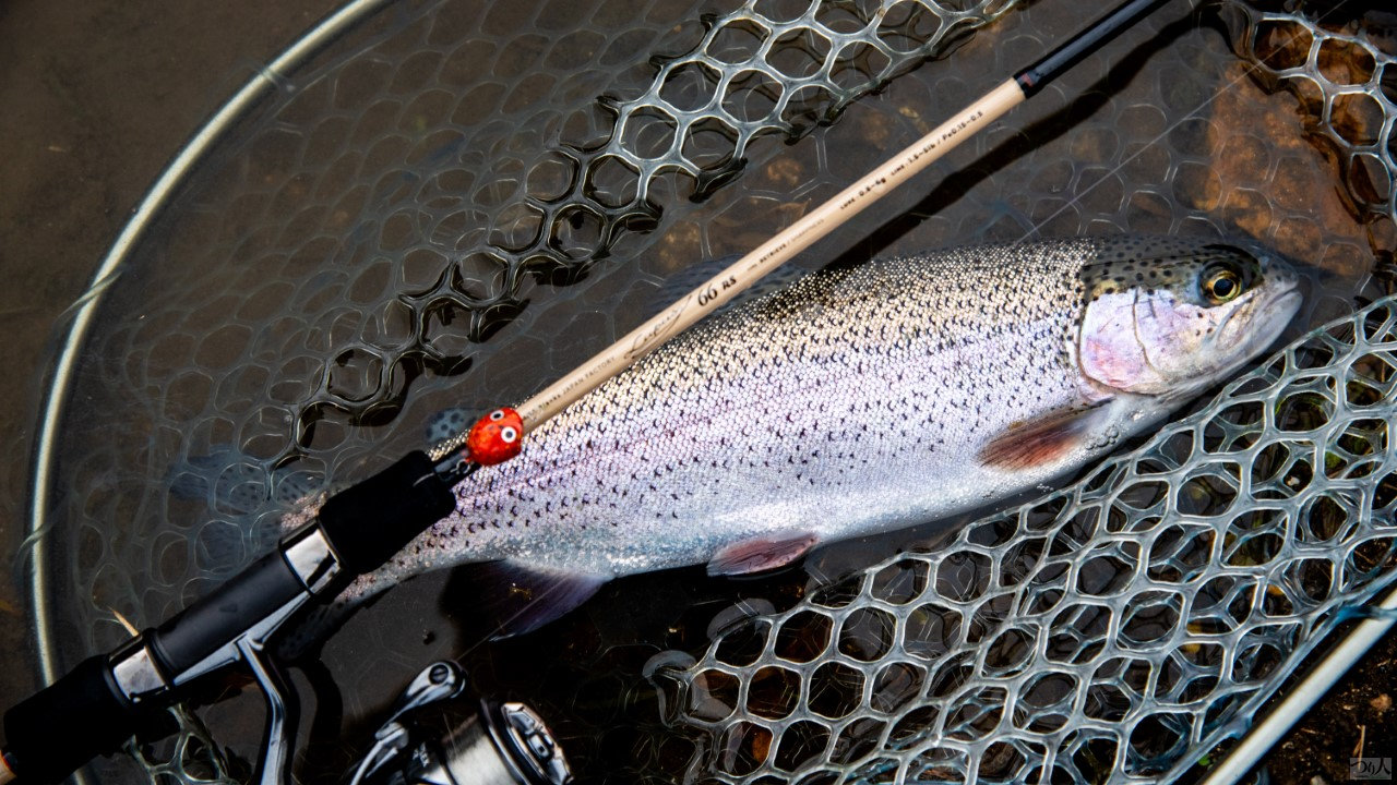 質実剛健。ヤマガブランクスが放つ「ルーパス・エリアトラウト」の実釣