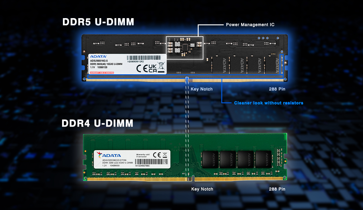 DDR5 5600 U-DIMM Memory Module | ADATA (Global)