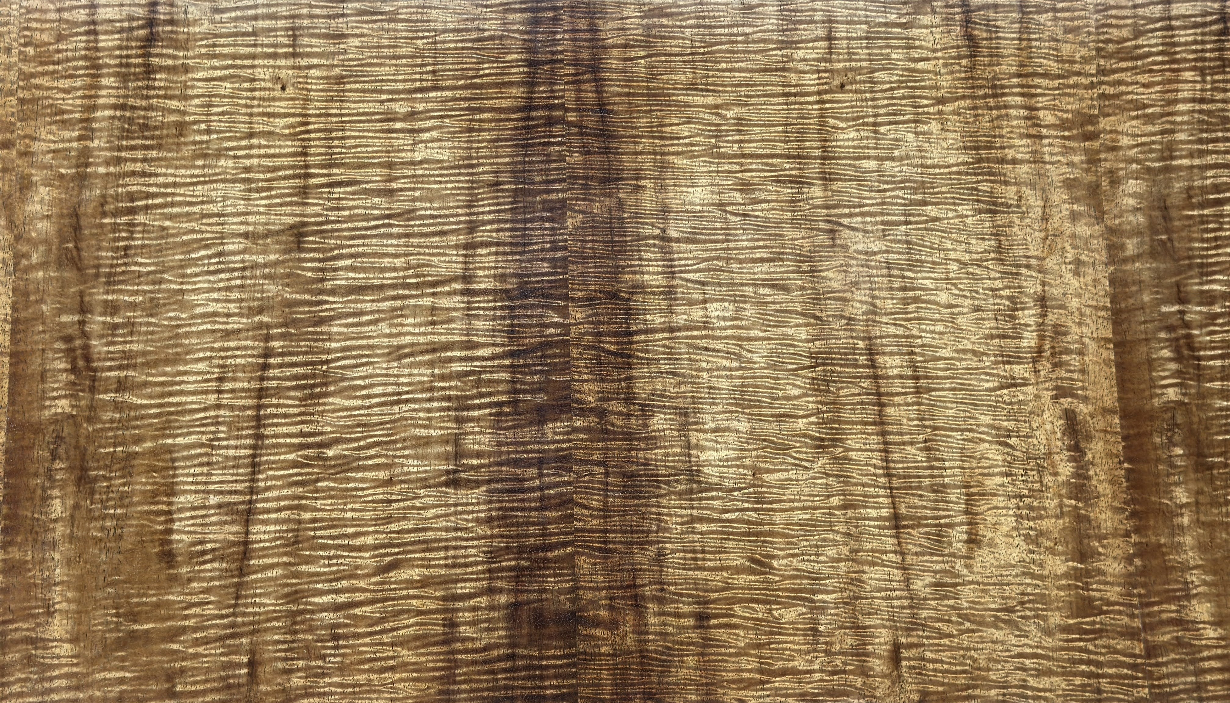 Hawaiian-Koa-5A_735_KP_MWH-