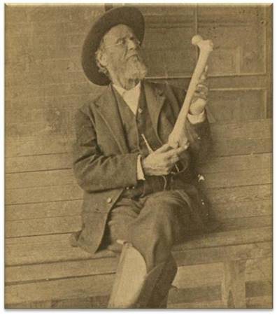 About the Book — WILLIAM GARNER SUTHERLAND