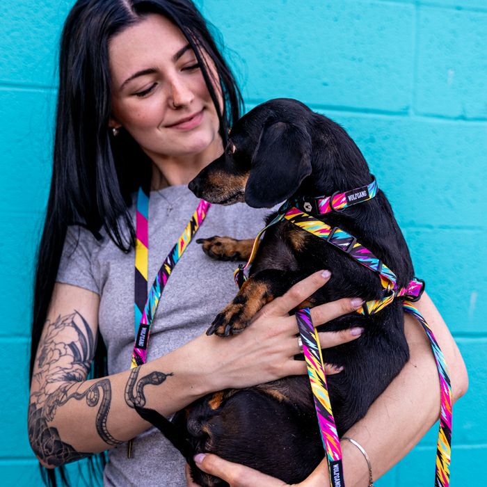 FuzzyTails Collar ( L size ) | WOLFGANG