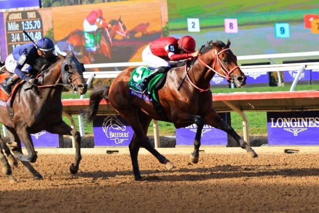 ブリーダーズカップ回顧】日本競馬初の快挙フォーエバーヤング、夢は