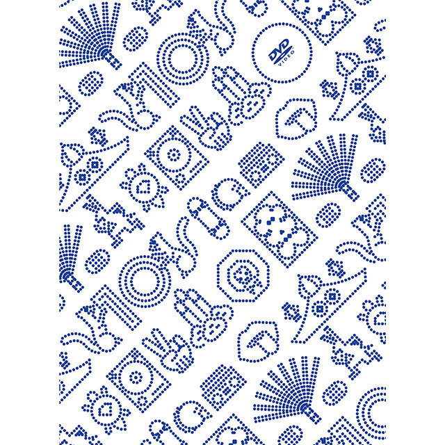 RIP SLYME / リップスライム「RIP SLYME Tour of Ten FINAL at BUDOKAN