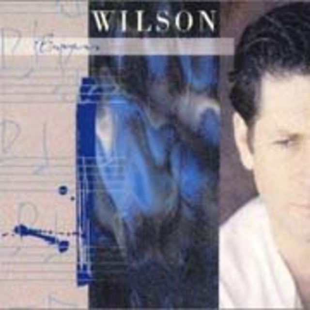 Brian Wilson / ブライアン・ウィルソン「ブライアン・ウィルソン