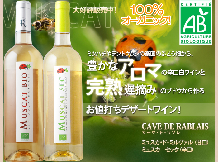 ミュスカ・セック・ビオ カーヴ・ド・ラブレ 2024年 フランス ラング