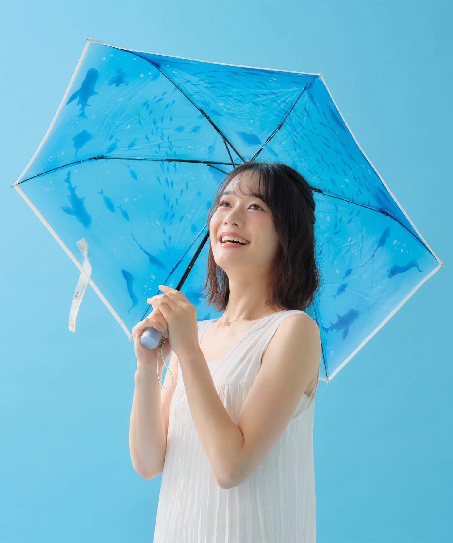 えのすい× Wpc. アンブレラ おはよう、大水槽 おやすみ 、くらげ 新