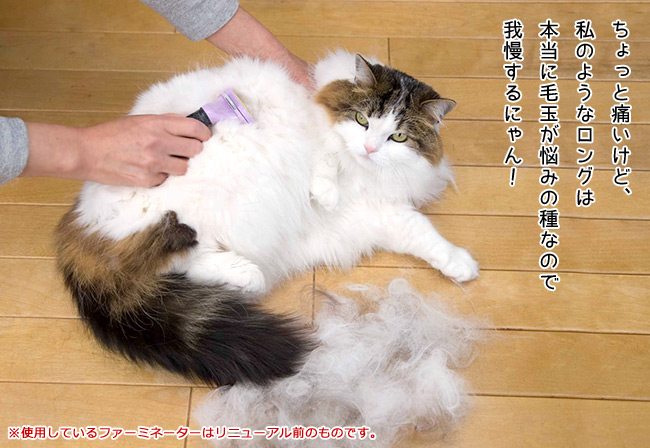 ファーミネーター 小型猫 S 長毛種用 ワンプッシュボタン付き (15670