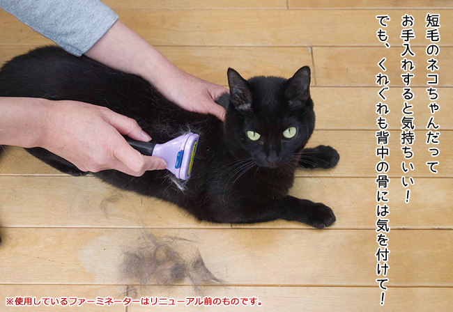 ファーミネーター 小型猫 S 長毛種用 ワンプッシュボタン付き (15670