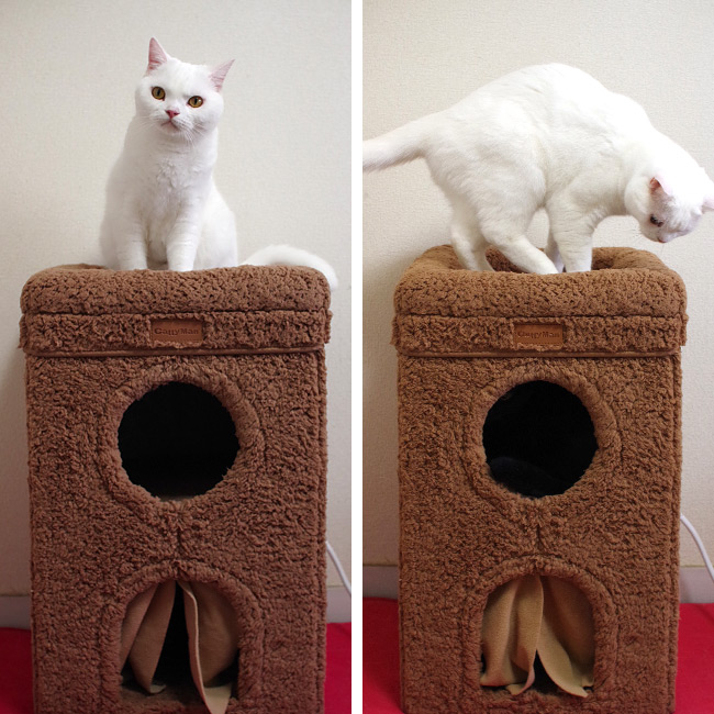 セール対象品】キャティーマン HOT HOME ネコの暖かいわが家 (38678) 2