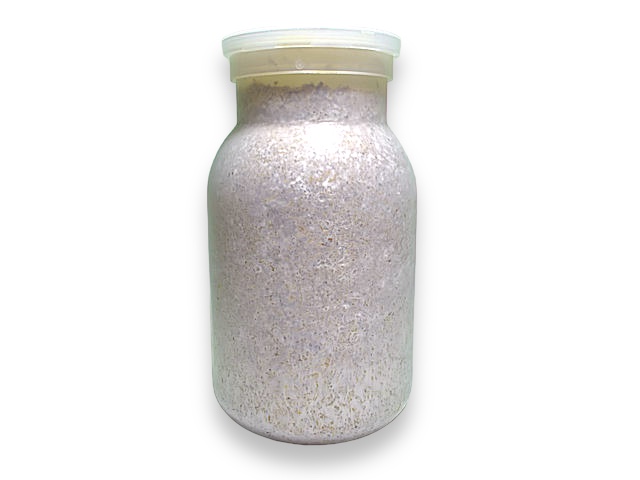 KBファーム直送】AG1100菌糸ビン（メーカー直送のため同梱不可）全国