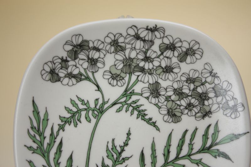 ARABIA Botanica achillea Esteri Tomula/アラビア ボタニカ ウォール