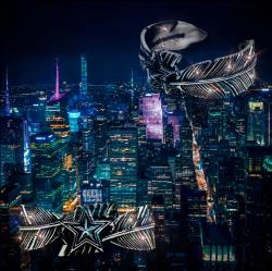 CODY全球網站官網