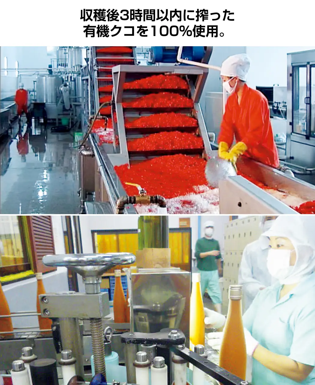 通販生活®有機クコジュース｜【公式】カタログハウスの通販サイト