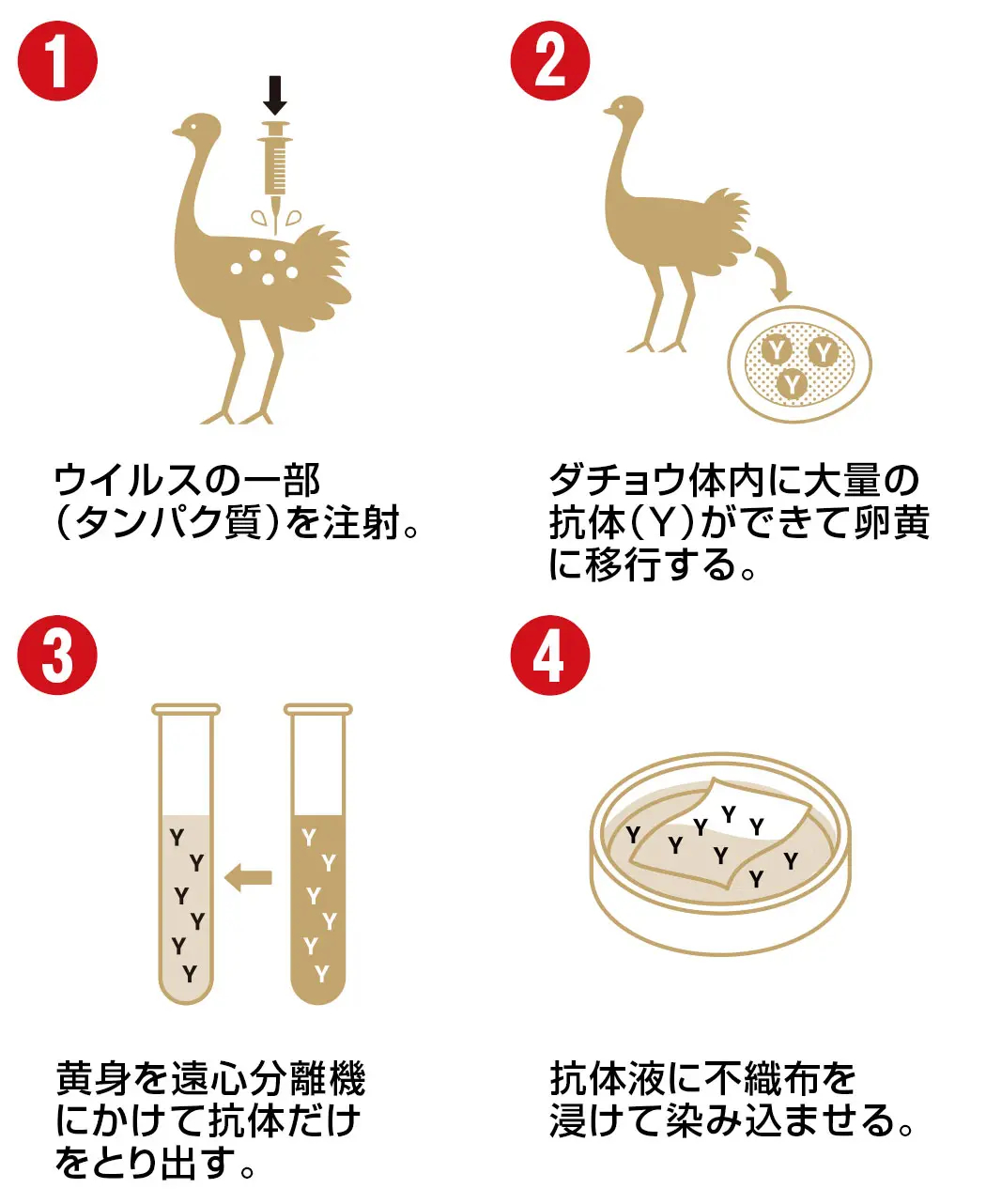 通販生活®ダチョウ抗体マスク25枚｜【公式】カタログハウスの通販サイト