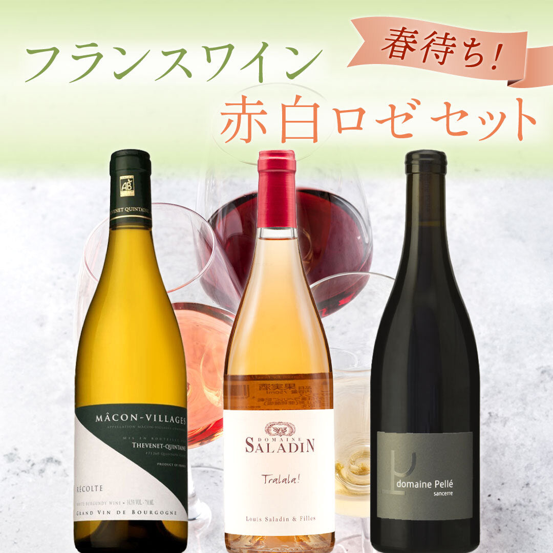 Lan Seqqua（ラン・セッカ） | THE CELLAR online store｜ワイン通販