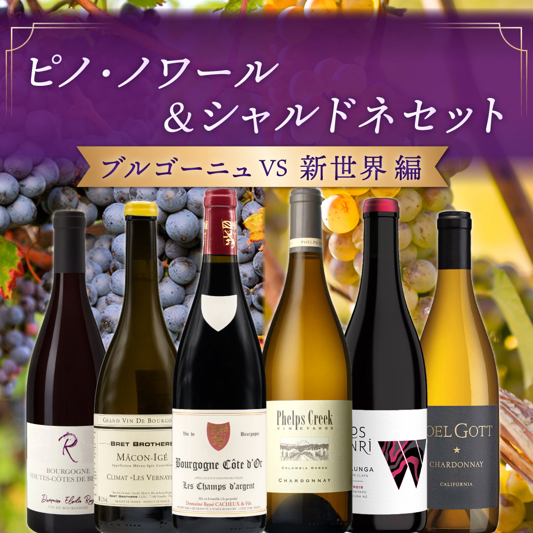 Lan Seqqua（ラン・セッカ） | THE CELLAR online store｜ワイン通販