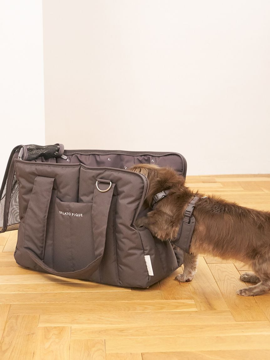 gelato pique（ジェラートピケ）【CAT&DOG】【販路限定商品