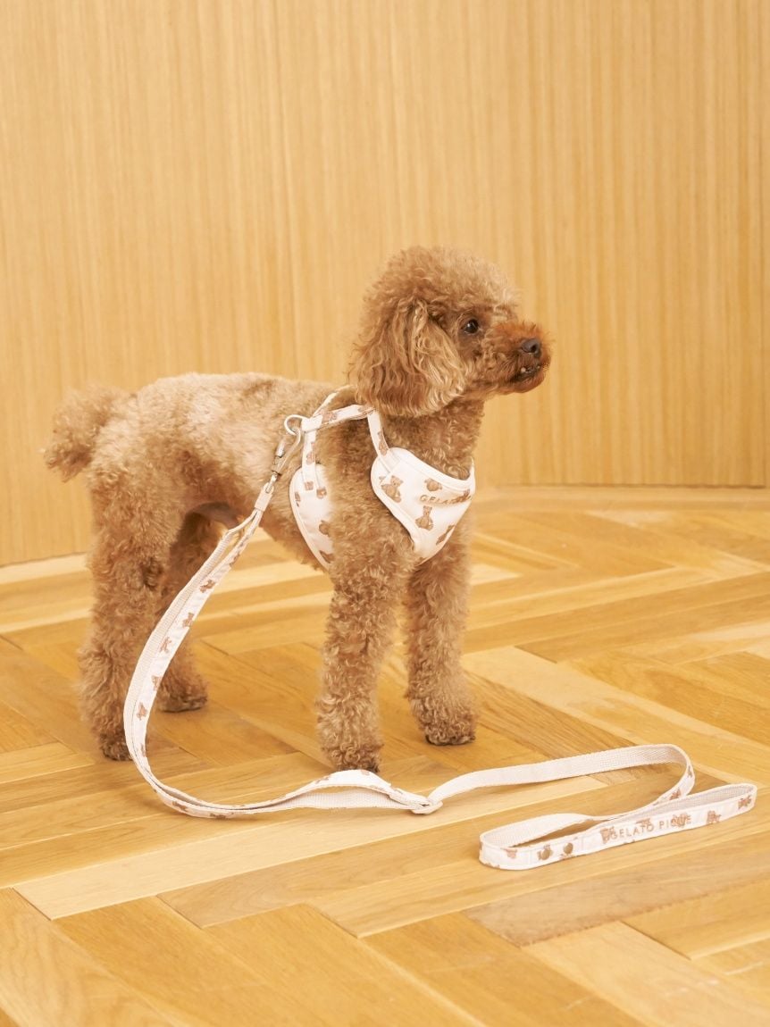 gelato pique（ジェラートピケ）【CAT&DOG】【販路限定商品】 モチーフ