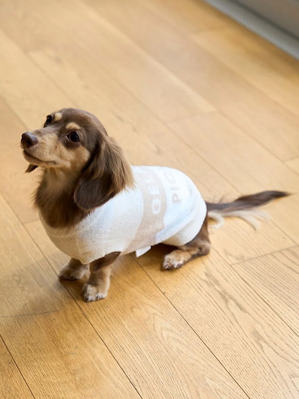 gelato pique（ジェラートピケ）【CAT&DOG】【販路限定商品】スムー