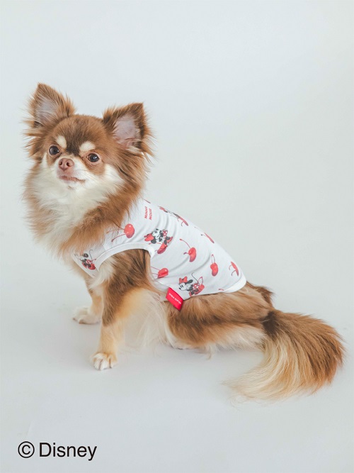 gelato pique（ジェラートピケ）【CAT&DOG】【販路限定商品】【接触冷