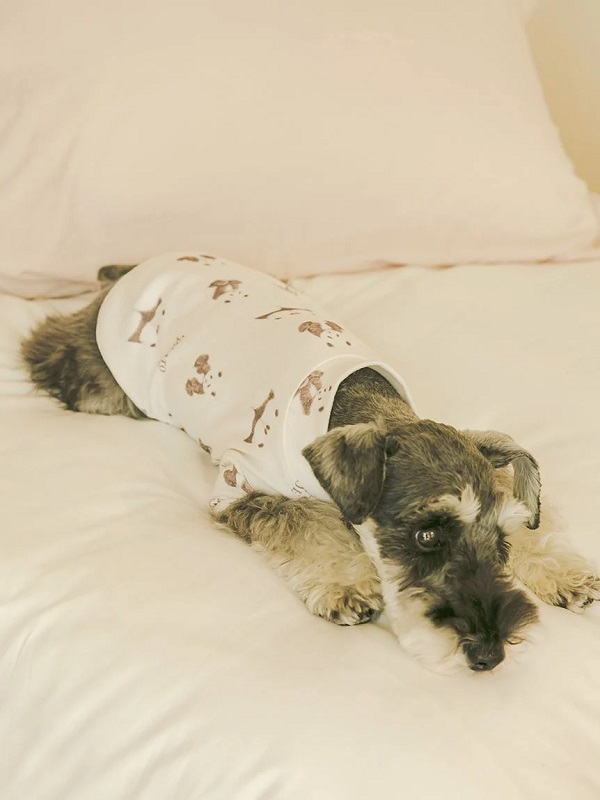 gelato pique（ジェラートピケ）【CAT&DOG】【販路限定商品】パンダ柄