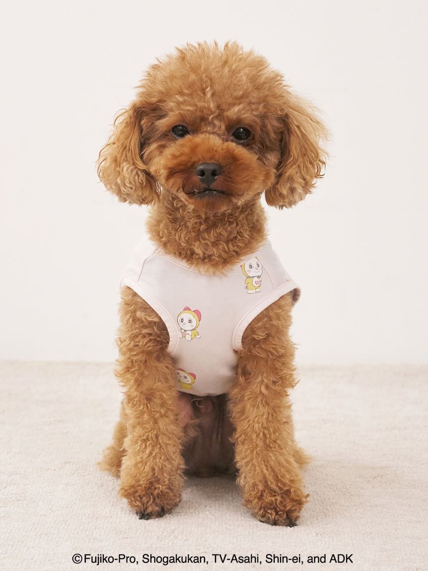 gelato pique（ジェラートピケ）【CAT&DOG】【販路限定商品