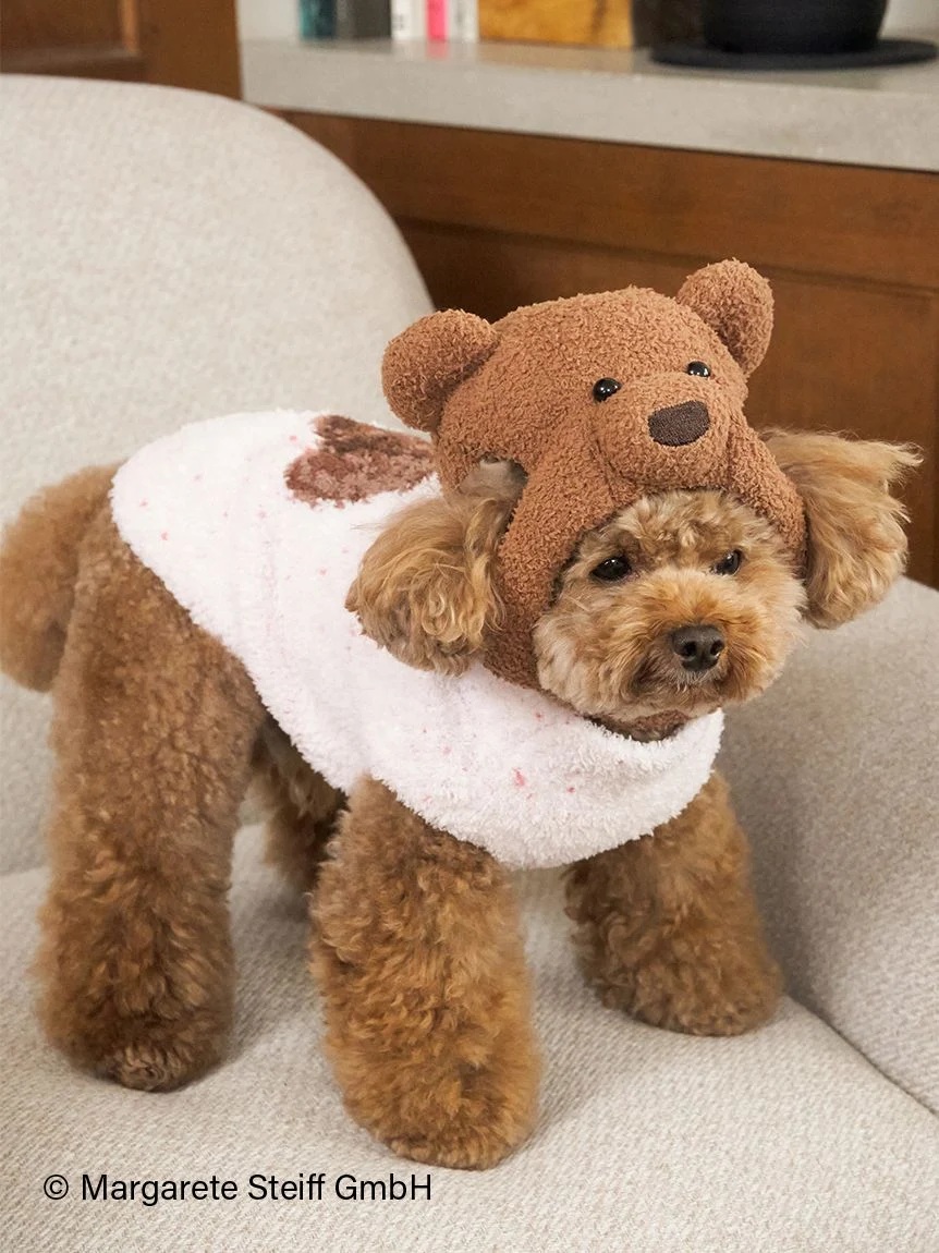 gelato pique（ジェラートピケ）【CAT&DOG】【販路限定商品】【Steiff